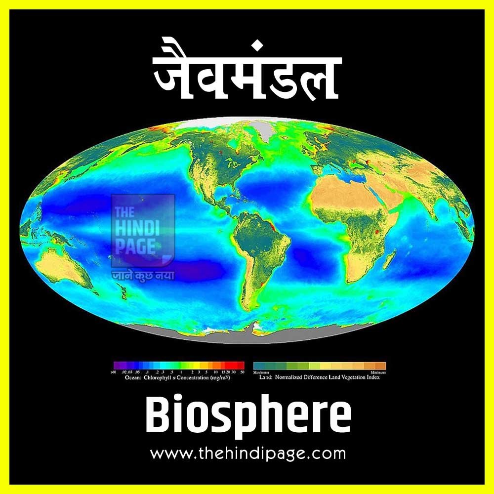 जैवमंडल Biosphere - Jaivmandal की परिभाषा अथवा अर्थ, घटक, जैवमंडल क्या है? बायोस्फीयर Biosphere शब्द, आरक्षित जैवमंडल, जैविक अजैविक ऊर्जा घटक