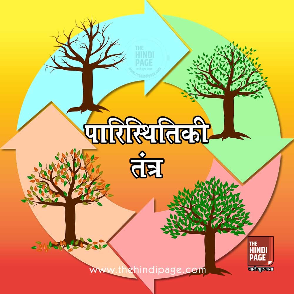 पारिस्थितिकी Ecology एवं पारिस्थितिकी तंत्र (Ecology System) का अर्थ, परिभाषा, प्रकार, स्तूप या पिरामिड, घटक अथवा अवयव, जनक आदि की जानकारी